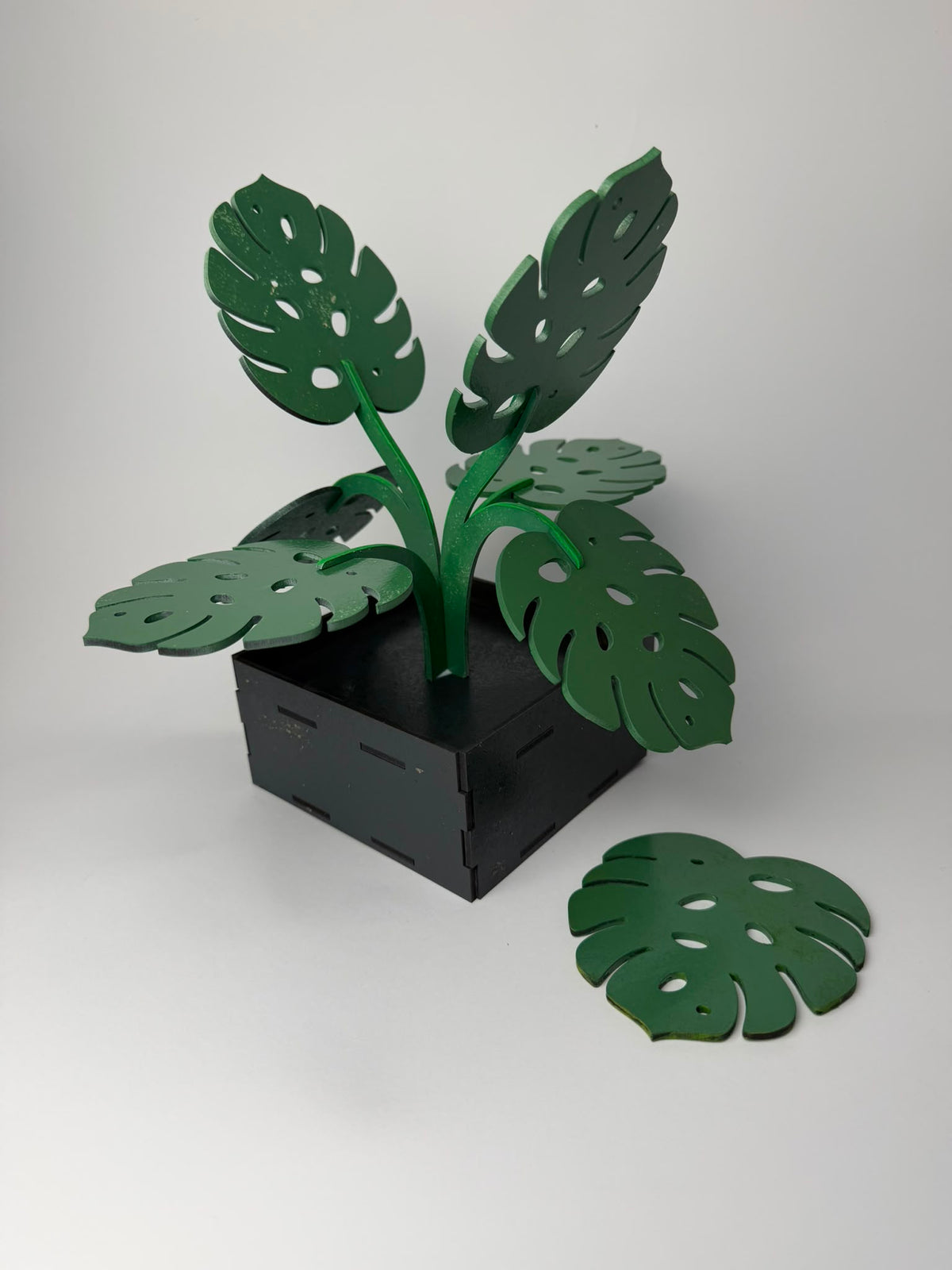 Podkładki pod kubek Monstera ze stojakiem